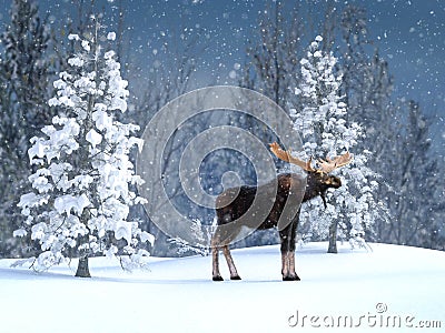 3D rendering of a majestic moose in a winter landscape Stock Photo