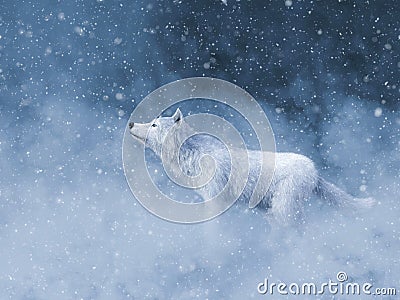3D rendering of a majestic white wolf in snow Stock Photo