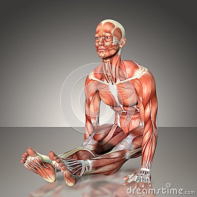 3d rendering of a male anatomy figure in exercise pose Stock Photo