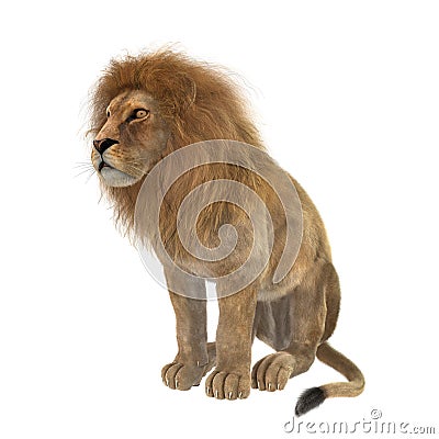 3D Rendering Male Lion on White Stock Photo