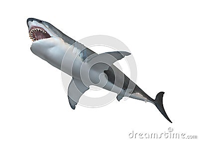 3D Rendering Megalodon Shark on White Stock Photo