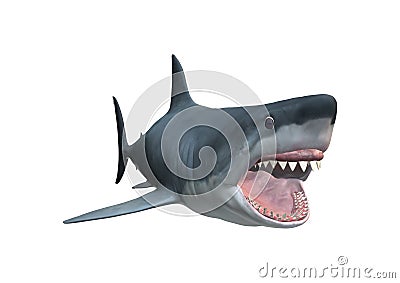 3D Rendering Megalodon Shark on White Stock Photo