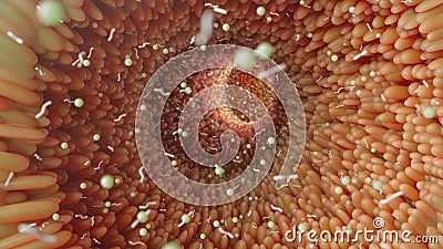 3D Rendering of Microbial Metropolis in Human Colon: A Visualization of Gut Health and Microvilli Architecture Stock Photo