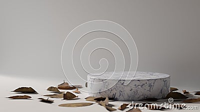 3D rendering, mock up scene with geometric shape, marble podium for product with dried leaves decorated on the floor, 3D Cartoon Illustration