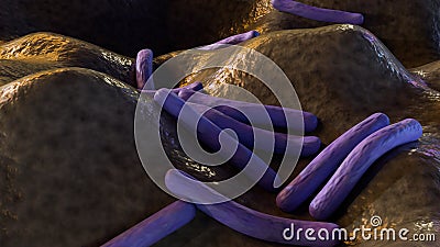 3d rendering of Mycobacterium leprae causes leprosy Stock Photo
