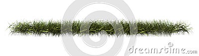 3D Rendering Patch of Grass on White Stock Photo