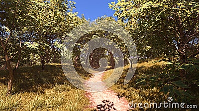 3D Rendering Path through Summer Forest Stock Photo