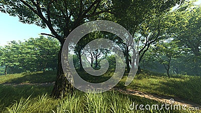 3D Rendering Path through Summer Forest Stock Photo