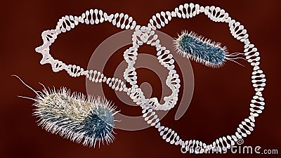 plasmid circular DNA and Escherichia coli bacteria Stock Photo