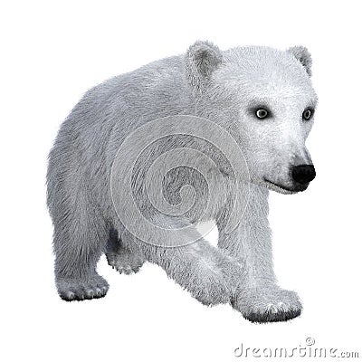 3D Rendering Polar Bear Cub on White Stock Photo