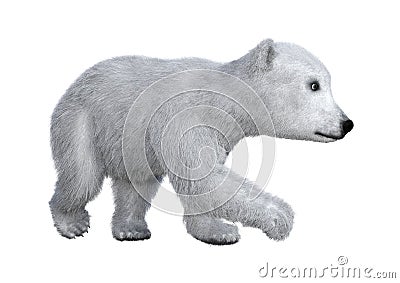 3D Rendering Polar Bear Cub on White Stock Photo