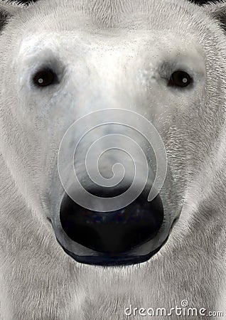 3D Rendering Polar Bear Stock Photo