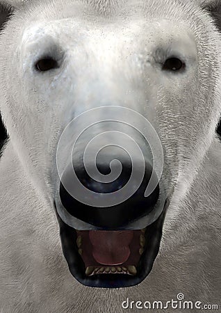 3D Rendering Polar Bear Stock Photo