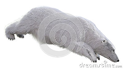 3D Rendering Polar Bear on White Stock Photo