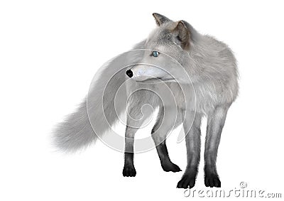 3D Rendering Polar Fox on White Stock Photo