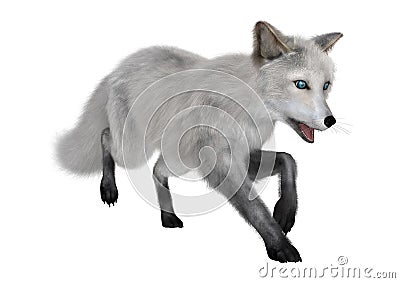 3D Rendering Polar Fox on White Stock Photo