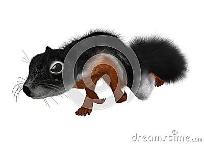 3D Rendering Prevost Squirrel on White Stock Photo