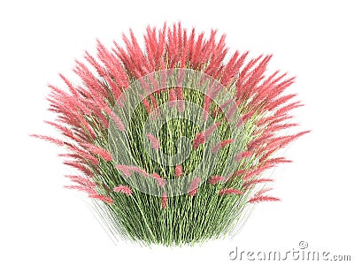 3d rendering of a realistic flower bush from front view isolate Stock Photo
