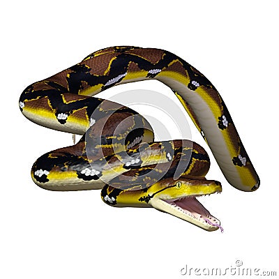 3D Rendering Reticulated Python on White Stock Photo