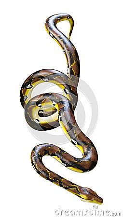 3D Rendering Reticulated Python on White Stock Photo