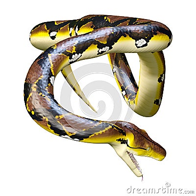 3D Rendering Reticulated Python on White Stock Photo