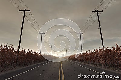 3d rendering of a road with yellow line in the centre. Between withered corn field and utility poles Stock Photo