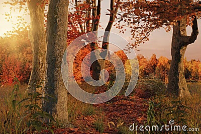 3d rendering of scenic forest pathway in the autumn season and e Stock Photo