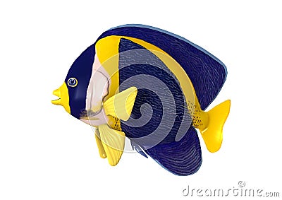 3D Rendering Scribbled Angelfish on White Stock Photo