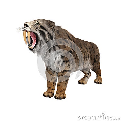 3D rendering of a Smilodon, the extinct pre-historic Sabre-tooth Cartoon Illustration