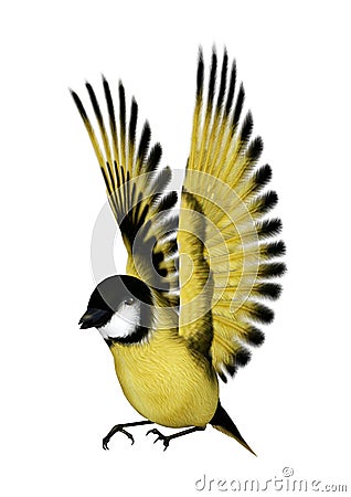 3D Rendering Songbird Goldflinch on White Stock Photo