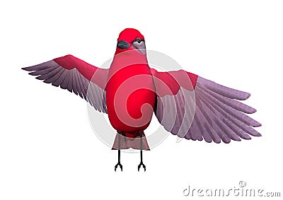 3D Rendering Songbird Tanager on White Stock Photo