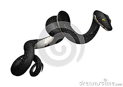 3D Rendering Southern Black Racer on White Stock Photo