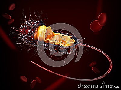 3d Rendering of Structure of a bacterial cell, clipping path included Stock Photo