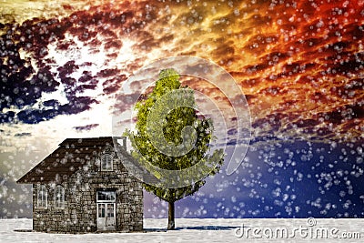 3d rendering tree and house in full leaf in winter against sky Stock Photo