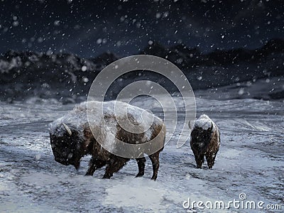 3D rendering of two majestic bison in a winter landscape Stock Photo