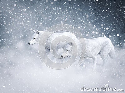 3D rendering of two majestic white wolfs in snow Stock Photo