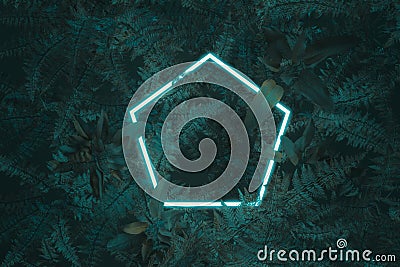 3d rendering of white hexagon with neon light covered by fern leaves. Flat lay of minimal nature style concept Stock Photo