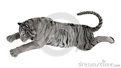 3D Rendering White Tiger on White Stock Photo