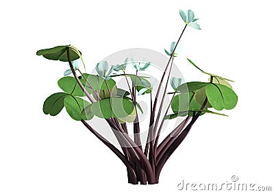 3D Rendering Wood Sorrel Flowers on White Cartoon Illustration