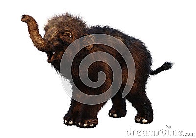 3D Rendering Woolly Mammoth Baby on White Stock Photo