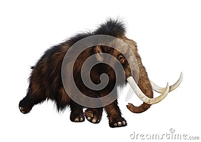 3D Rendering Woolly Mammoth on White Stock Photo