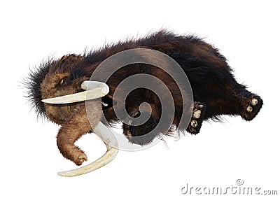 3D Rendering Woolly Mammoth on White Stock Photo