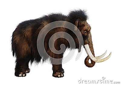 3D Rendering Woolly Mammoth on White Stock Photo