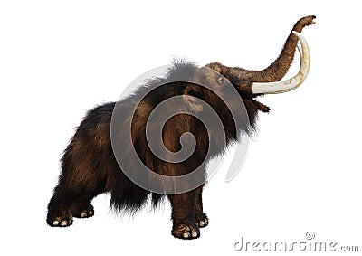 3D Rendering Woolly Mammoth on White Stock Photo