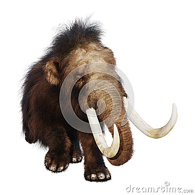 3D Rendering Woolly Mammoth on White Stock Photo