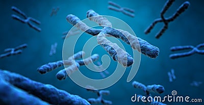 X chromosomes in blue background, genetics research concept Stock Photo