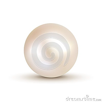 3D shiny natural White Pearl ball. Vector accessory beauty decoration. Fashion jewel symbol Vector Illustration