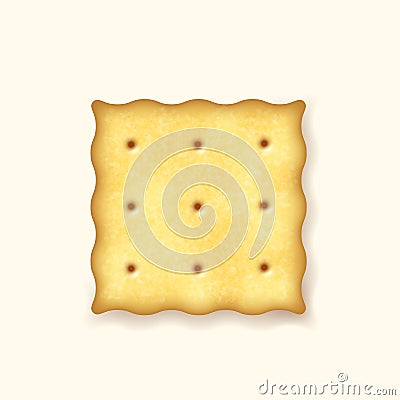 3d square delicious salty cookie rustic, dry cracker, biscuit icon. Realistic sweet cookie Vector Illustration