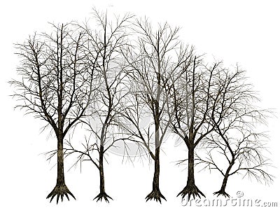 3D trees isolated Stock Photo