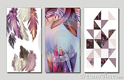 3d wall modern frames . Colored Feathers, tree leafs and modern Triangles . for home decor Stock Photo